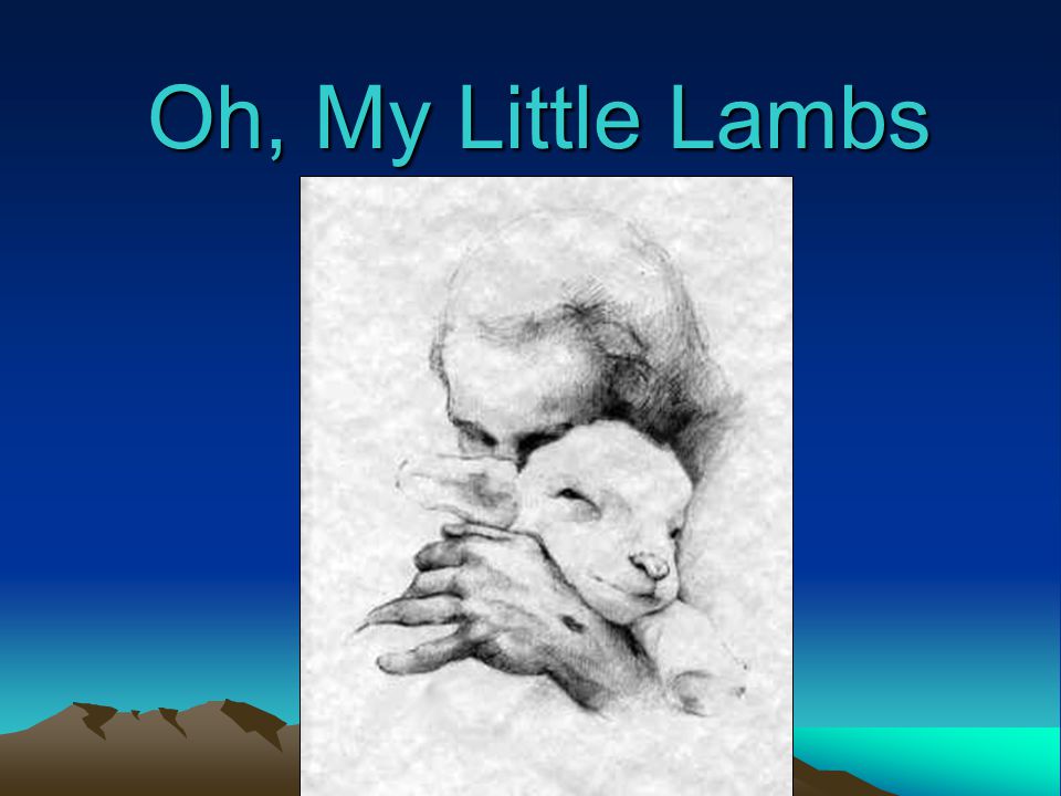 Oh, My Little Lambs