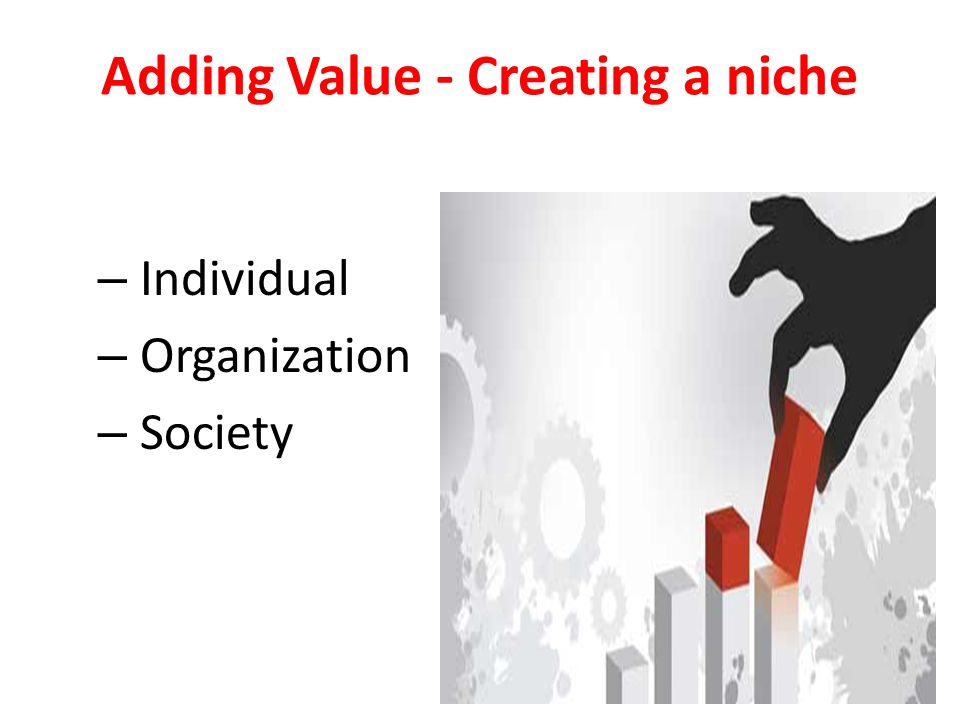 – Individual – Organization – Society Adding Value - Creating a niche