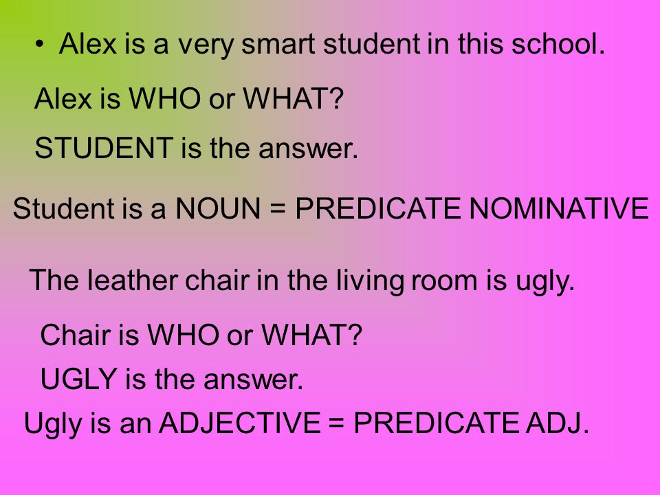 Alex is a very smart student in this school. Alex is WHO or WHAT.