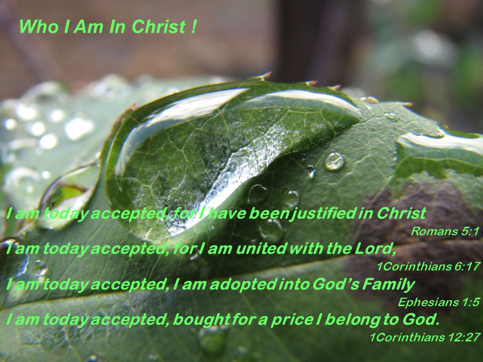 I am today accepted, for I have been justified in Christ Romans 5:1 I am today accepted, for I am united with the Lord, 1Corinthians 6:17 I am today accepted, I am adopted into God’s Family Ephesians 1:5 I am today accepted, bought for a price I belong to God.