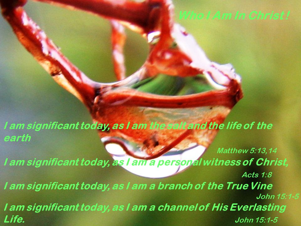 I am significant today, as I am the salt and the life of the earth Matthew 5:13,14 I am significant today, as I am a personal witness of Christ, Acts 1:8 I am significant today, as I am a branch of the True Vine John 15:1-5 I am significant today, as I am a channel of His Everlasting Life.
