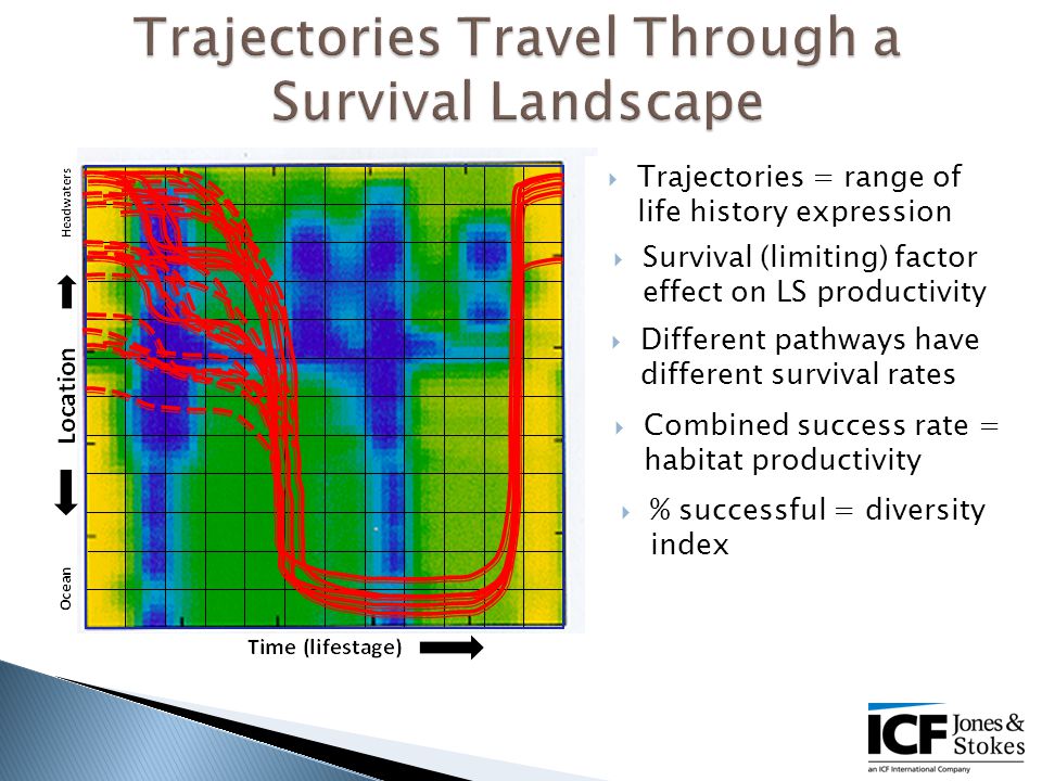  Trajectories = range of life history expression  Different pathways have different survival rates  Survival (limiting) factor effect on LS productivity  Combined success rate = habitat productivity  % successful = diversity index