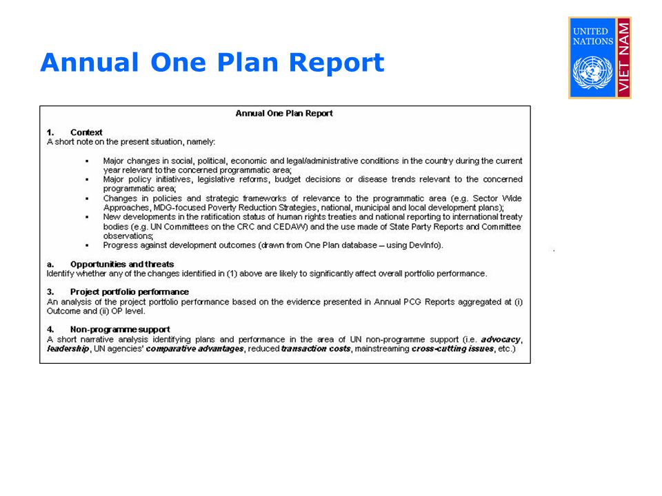 Annual One Plan Report