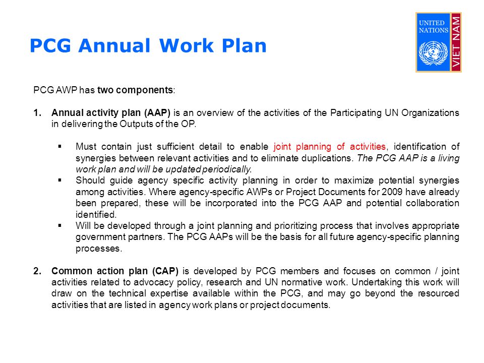PCG Annual Work Plan PCG AWP has two components: 1.Annual activity plan (AAP) is an overview of the activities of the Participating UN Organizations in delivering the Outputs of the OP.