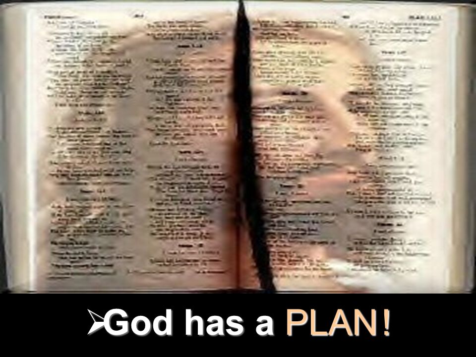 Matthew  God has aPLAN !  God has a PLAN !