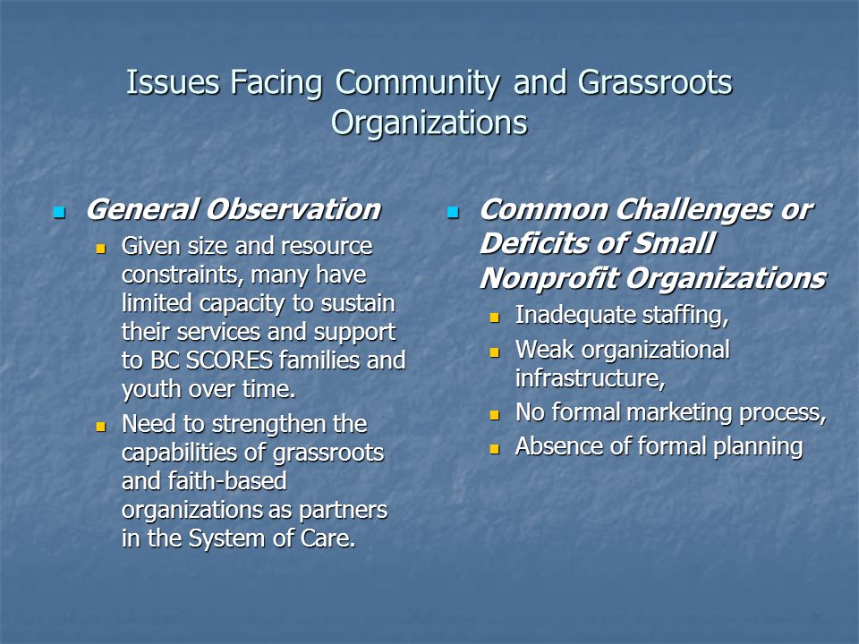 Issues Facing Community and Grassroots Organizations General Observation General Observation Given size and resource constraints, many have limited capacity to sustain their services and support to BC SCORES families and youth over time.