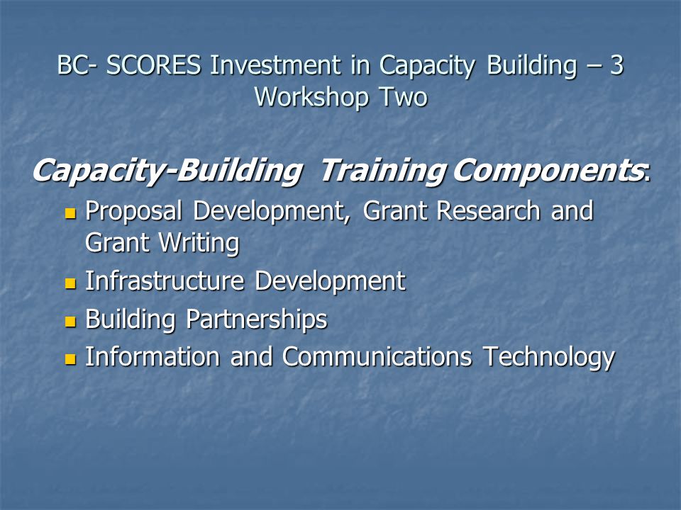 BC- SCORES Investment in Capacity Building – 3 Workshop Two Capacity-Building Training Components: Proposal Development, Grant Research and Grant Writing Proposal Development, Grant Research and Grant Writing Infrastructure Development Infrastructure Development Building Partnerships Building Partnerships Information and Communications Technology Information and Communications Technology