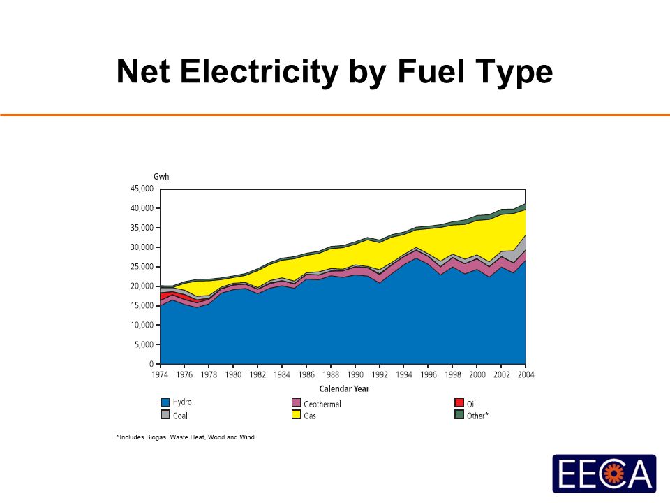 Net Electricity by Fuel Type