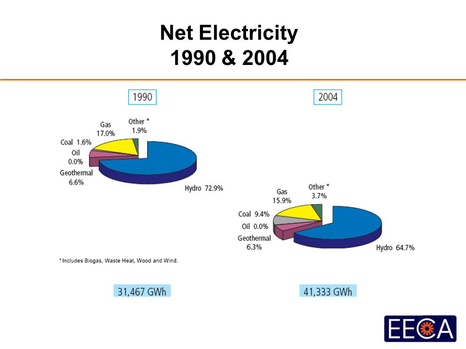 Net Electricity 1990 & 2004