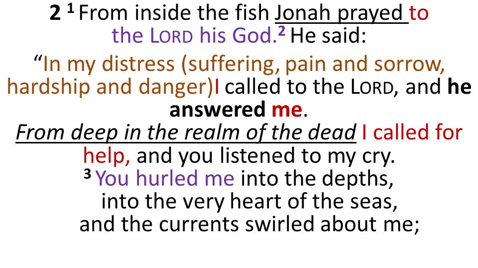 2 1 From inside the fish Jonah prayed to the L ORD his God.