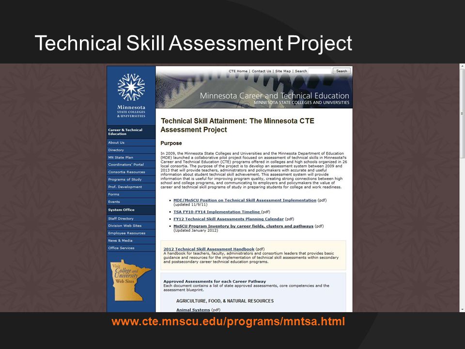 Technical Skill Assessment Project