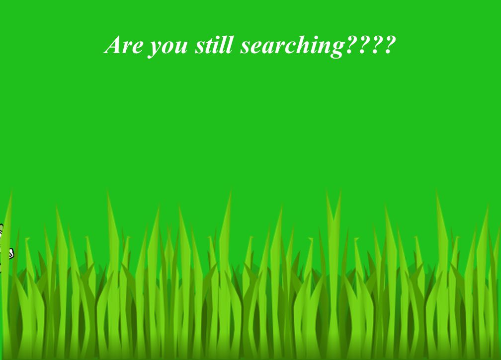 Are you still searching