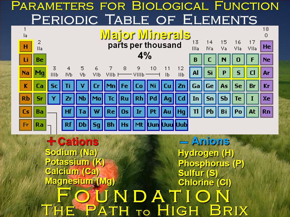 Periodic Table of Elements Parameters for Biological Function Major Minerals parts per thousand Cations Anions Sodium (Na) Potassium (K) Calcium (Ca) Magnesium (Mg) Phosphorus (P) Sulfur (S) Chlorine (Cl) The Path to High Brix Foundation 4% Hydrogen (H)