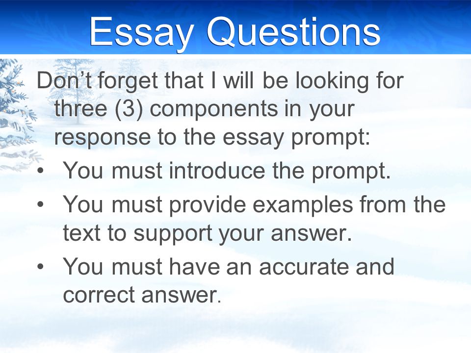 ethan frome essay questions