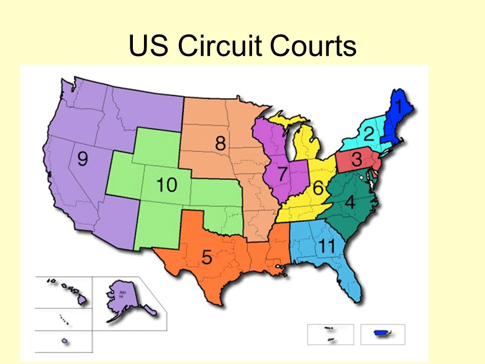 US Circuit Courts
