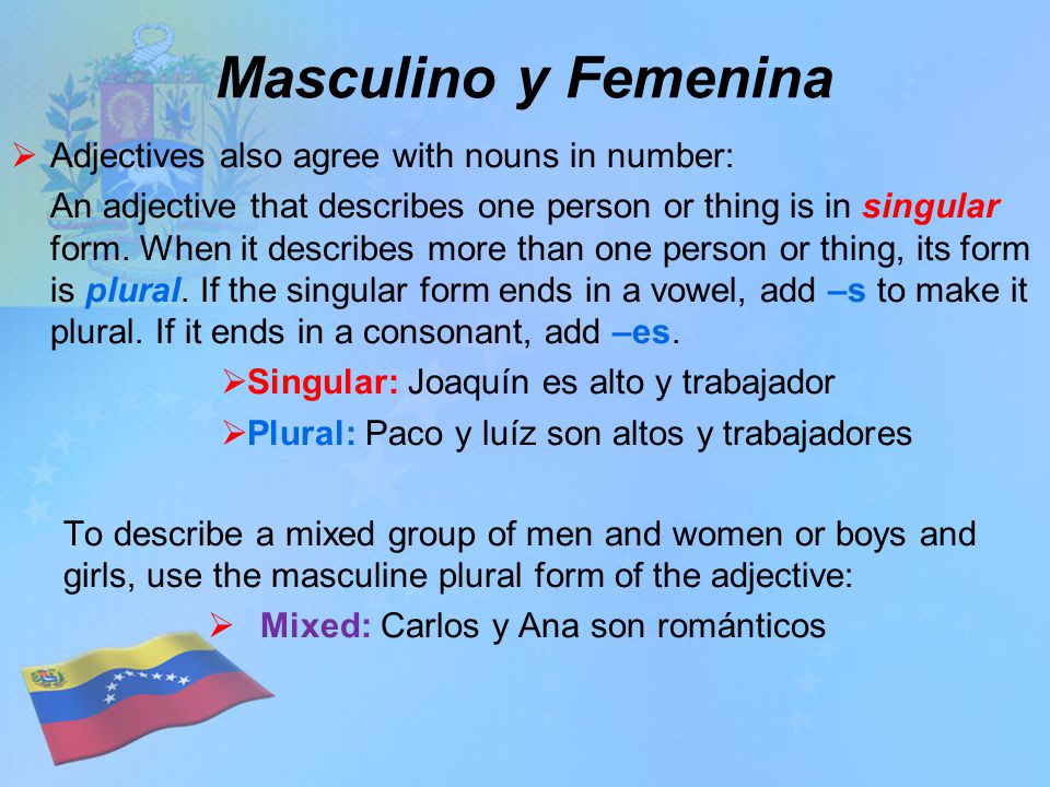 Masculino y Femenina  Adjectives also agree with nouns in number: An adjective that describes one person or thing is in singular form.