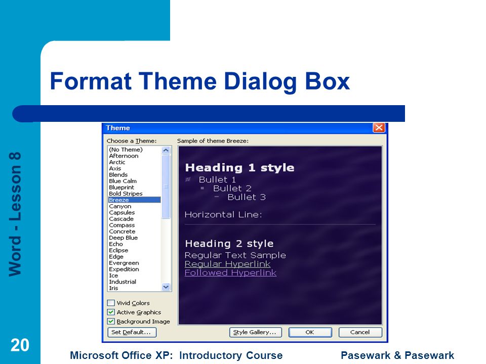 Word - Lesson 8 Microsoft Office XP: Introductory Course Pasewark & Pasewark 20 Format Theme Dialog Box
