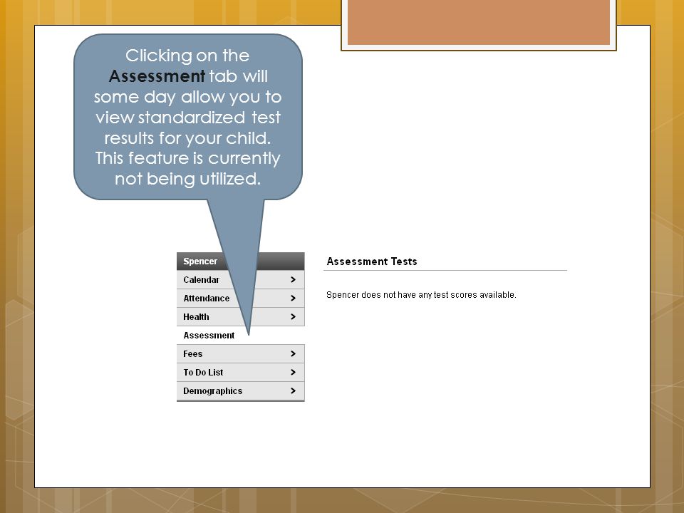 Clicking on the Assessment tab will some day allow you to view standardized test results for your child.