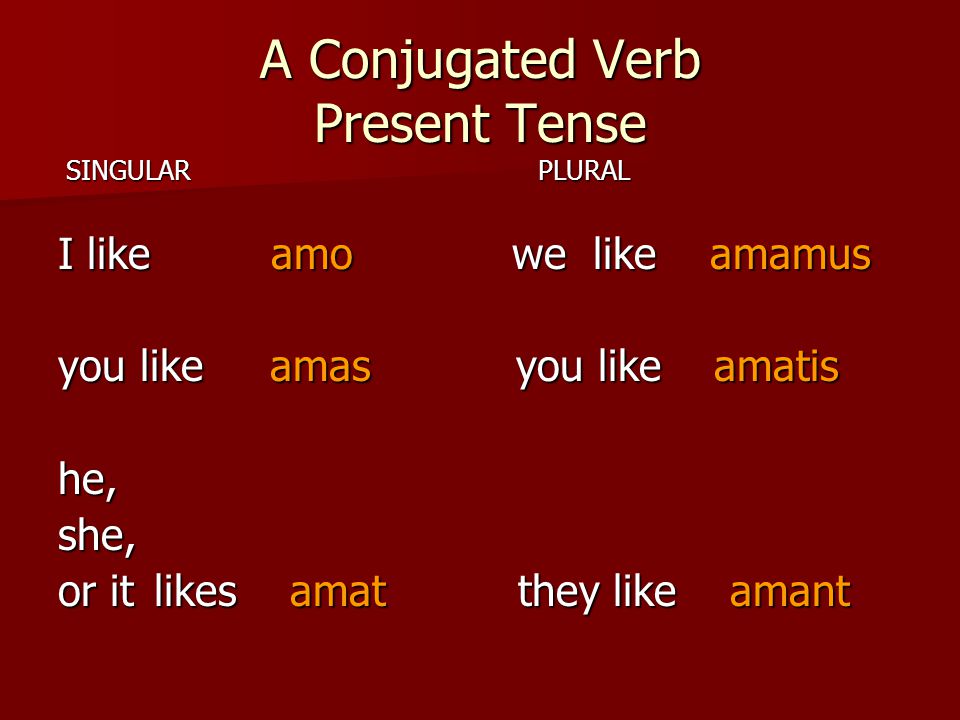 A Conjugated Verb Present Tense SINGULAR PLURAL SINGULAR PLURAL I like amo we like amamus you like amas you like amatis he,she, or itlikes amat they like amant