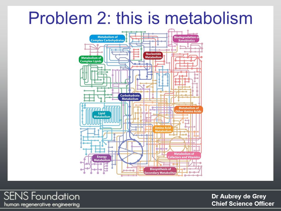 Dr Aubrey de Grey Chief Science Officer Problem 2: this is metabolism