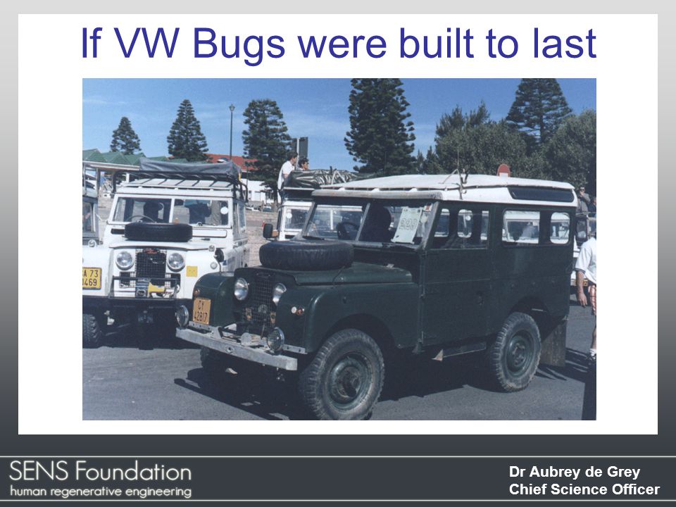 Dr Aubrey de Grey Chief Science Officer If VW Bugs were built to last