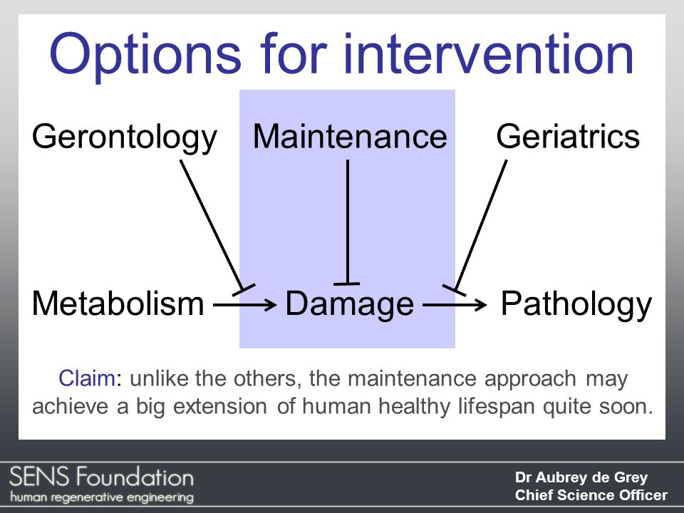 Dr Aubrey de Grey Chief Science Officer Pathology Options for intervention GerontologyGeriatrics MetabolismDamage Maintenance Claim: unlike the others, the maintenance approach may achieve a big extension of human healthy lifespan quite soon.