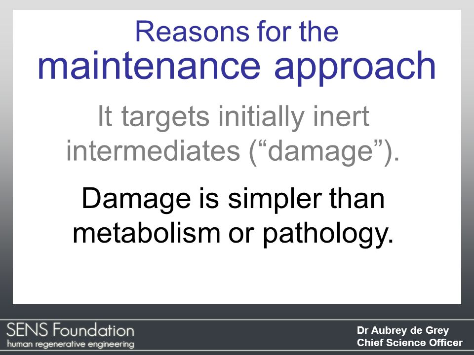 Dr Aubrey de Grey Chief Science Officer It targets initially inert intermediates ( damage ).