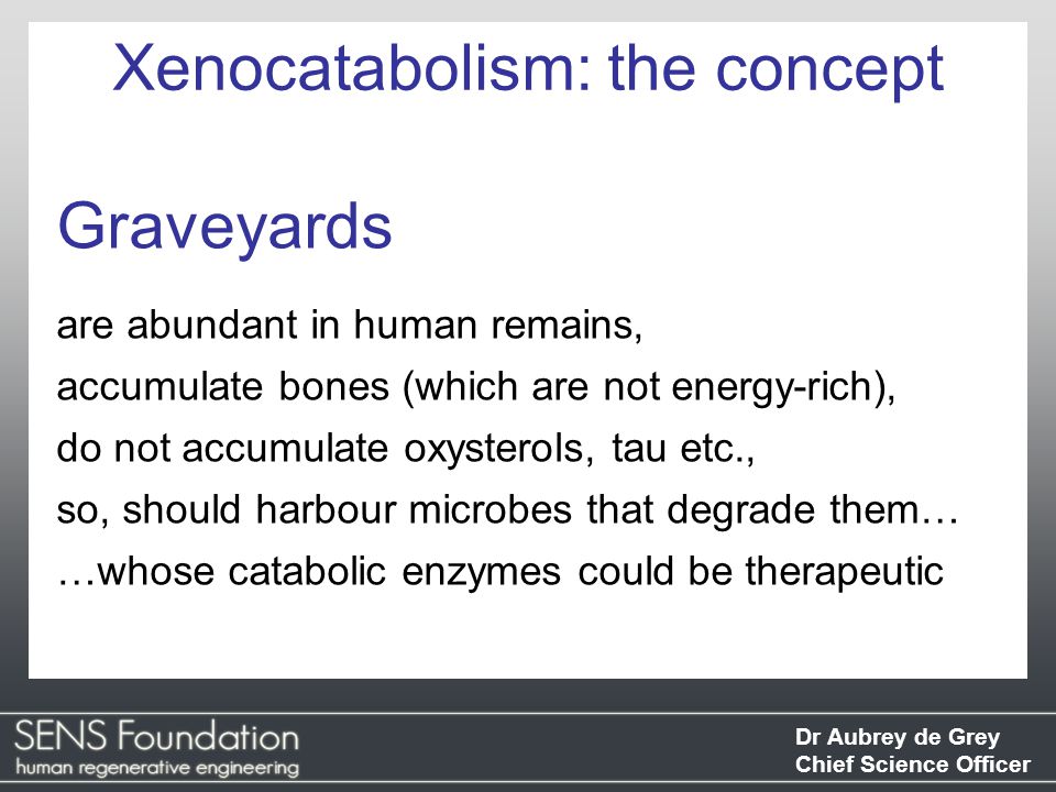 Dr Aubrey de Grey Chief Science Officer Graveyards are abundant in human remains, accumulate bones (which are not energy-rich), do not accumulate oxysterols, tau etc., so, should harbour microbes that degrade them… …whose catabolic enzymes could be therapeutic Xenocatabolism: the concept