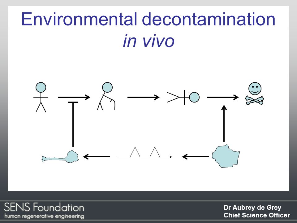 Dr Aubrey de Grey Chief Science Officer Environmental decontamination in vivo