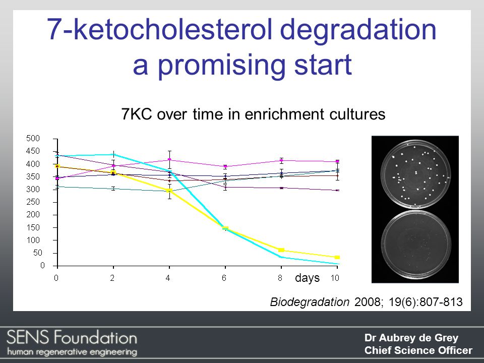 Dr Aubrey de Grey Chief Science Officer 7-ketocholesterol degradation a promising start Biodegradation 2008; 19(6): KC over time in enrichment cultures days