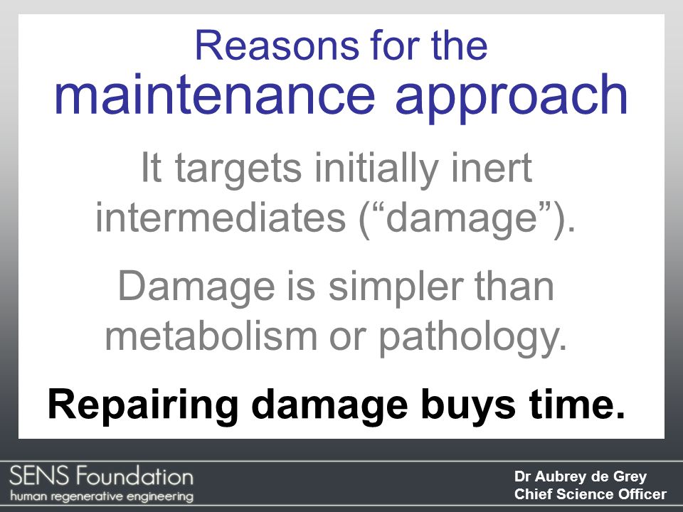 Dr Aubrey de Grey Chief Science Officer It targets initially inert intermediates ( damage ).