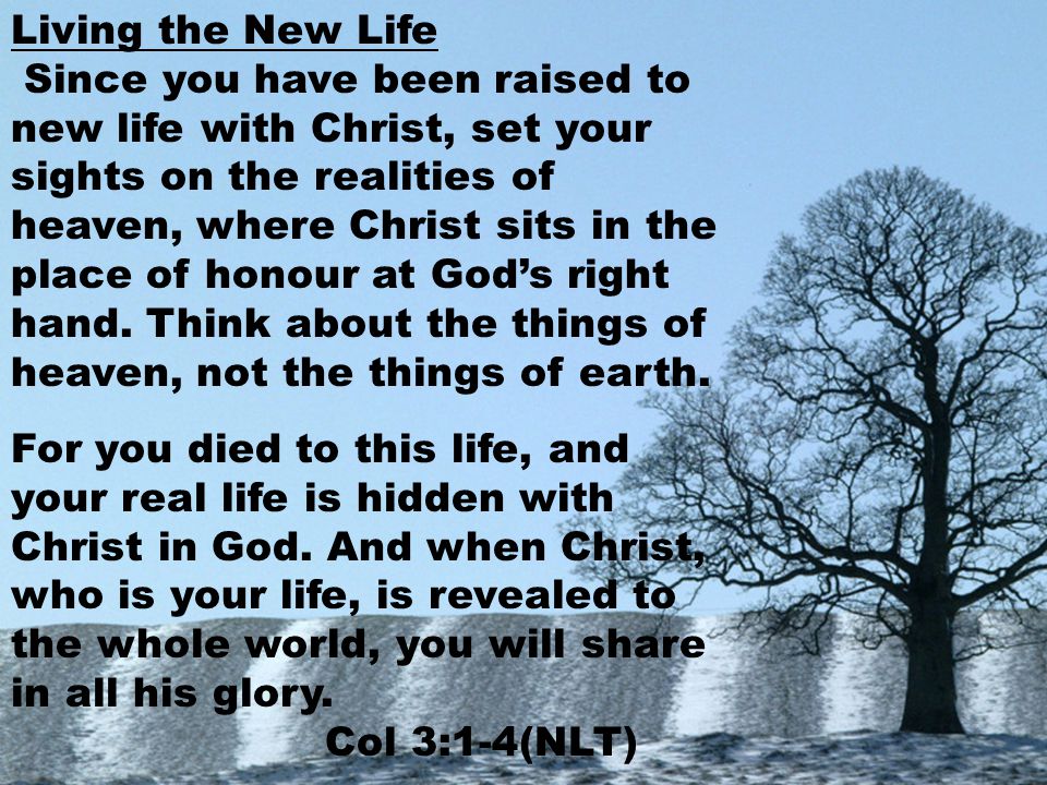 Living the New Life Since you have been raised to new life with Christ, set your sights on the realities of heaven, where Christ sits in the place of honour at God’s right hand.