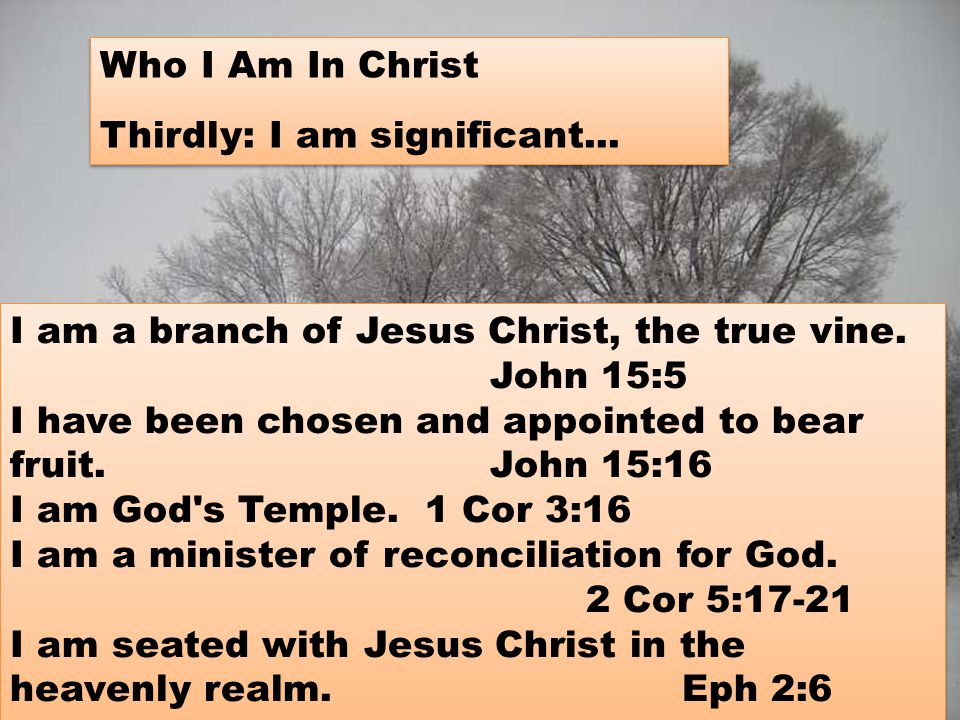 I am a branch of Jesus Christ, the true vine.