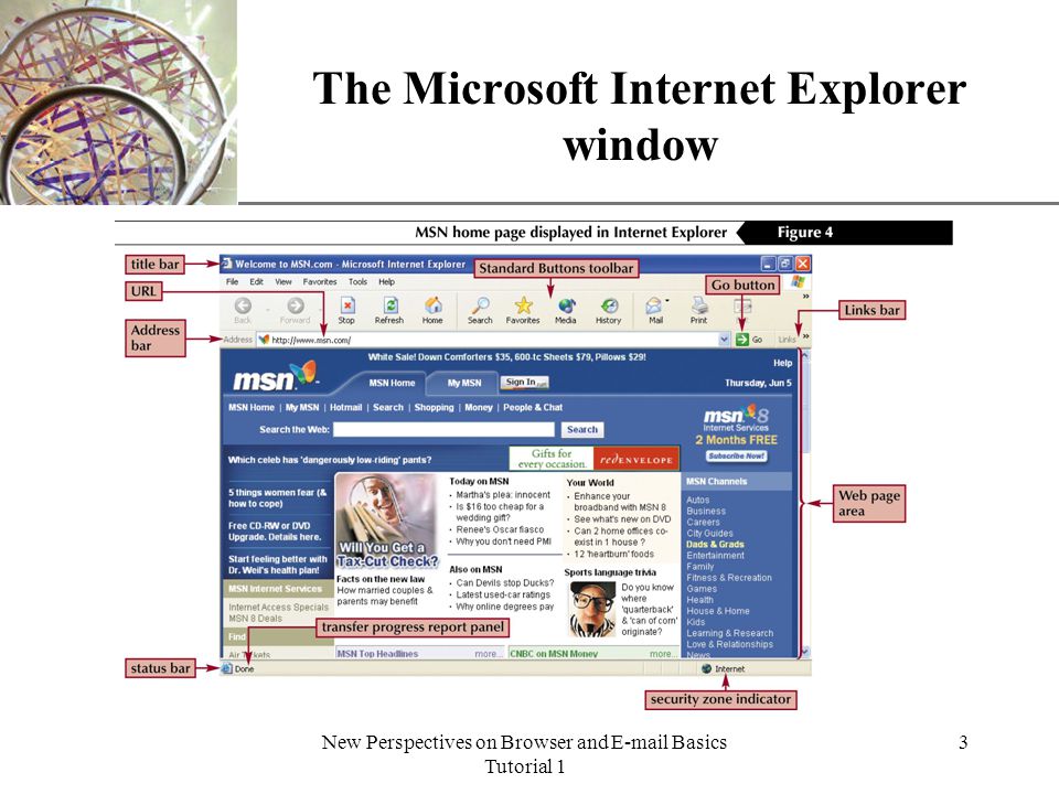 XP New Perspectives on Browser and  Basics Tutorial 1 3 The Microsoft Internet Explorer window