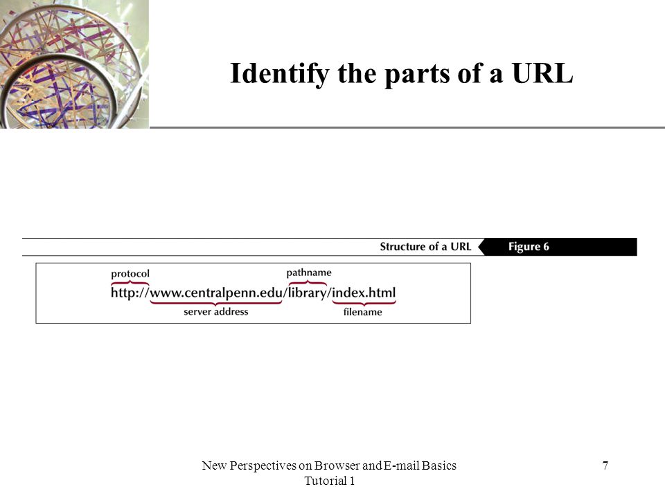 XP New Perspectives on Browser and  Basics Tutorial 1 7 Identify the parts of a URL