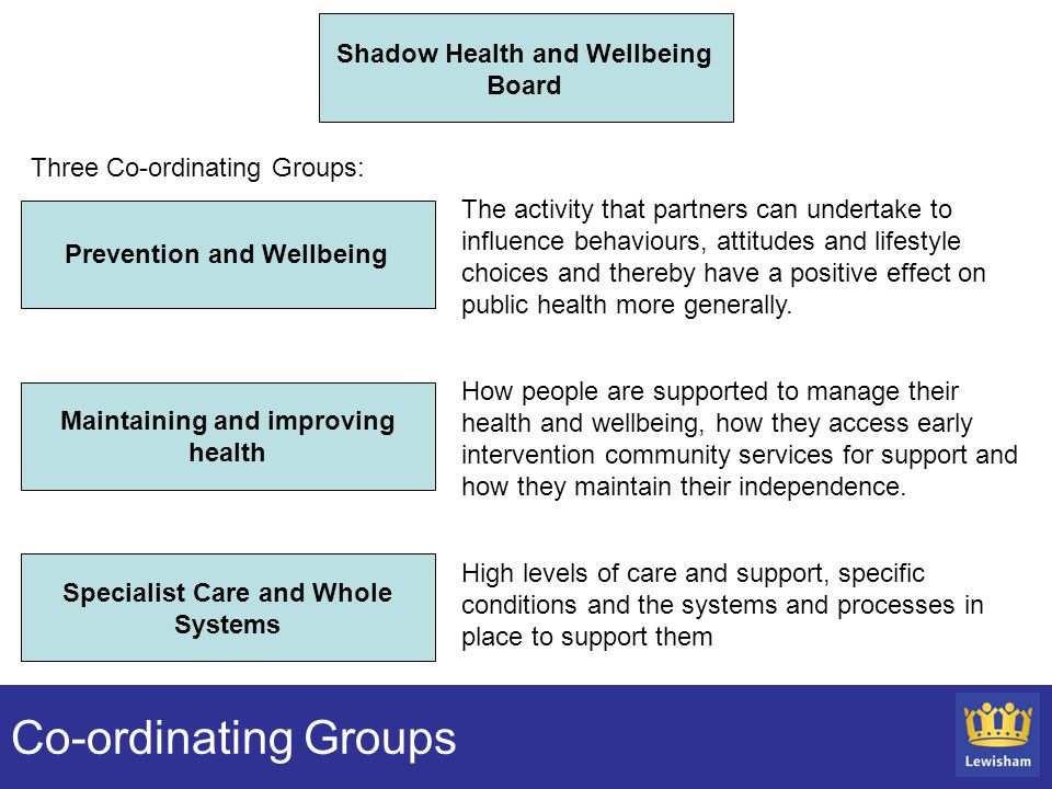 Shadow Health and Wellbeing Board Prevention and Wellbeing Maintaining and improving health Specialist Care and Whole Systems High levels of care and support, specific conditions and the systems and processes in place to support them How people are supported to manage their health and wellbeing, how they access early intervention community services for support and how they maintain their independence.