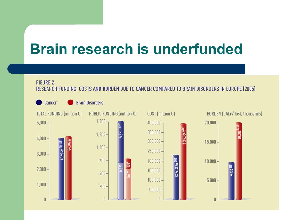 Brain research is underfunded