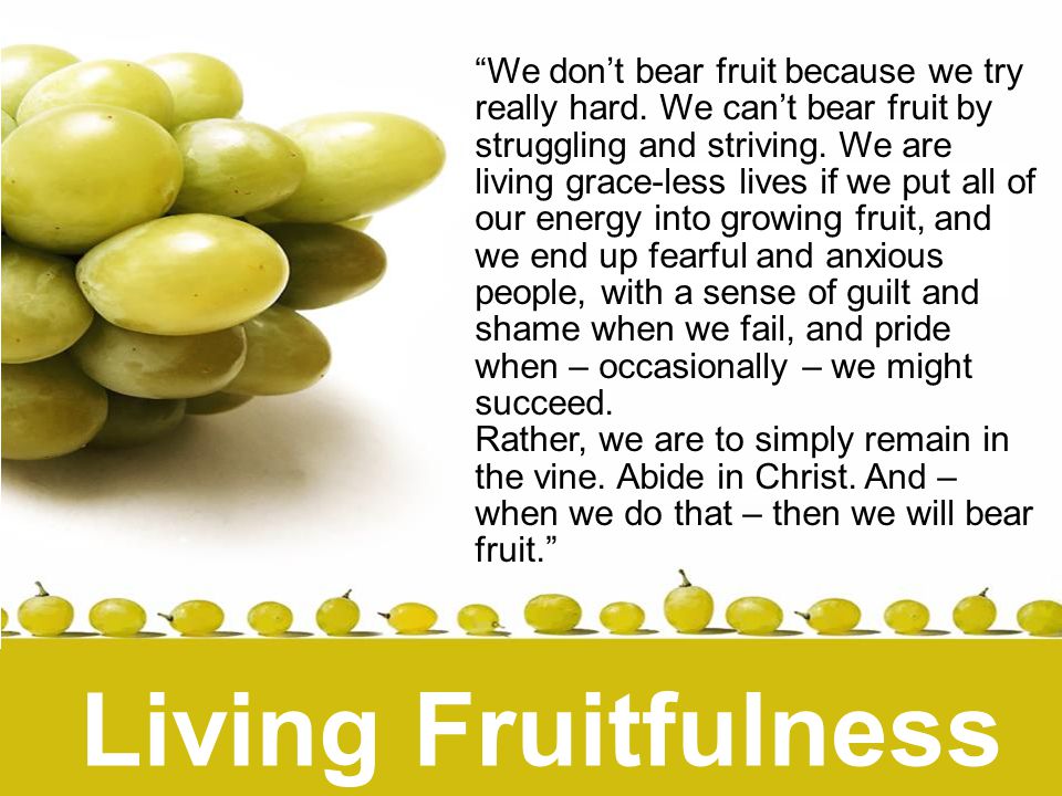 Living Fruitfulness We don’t bear fruit because we try really hard.