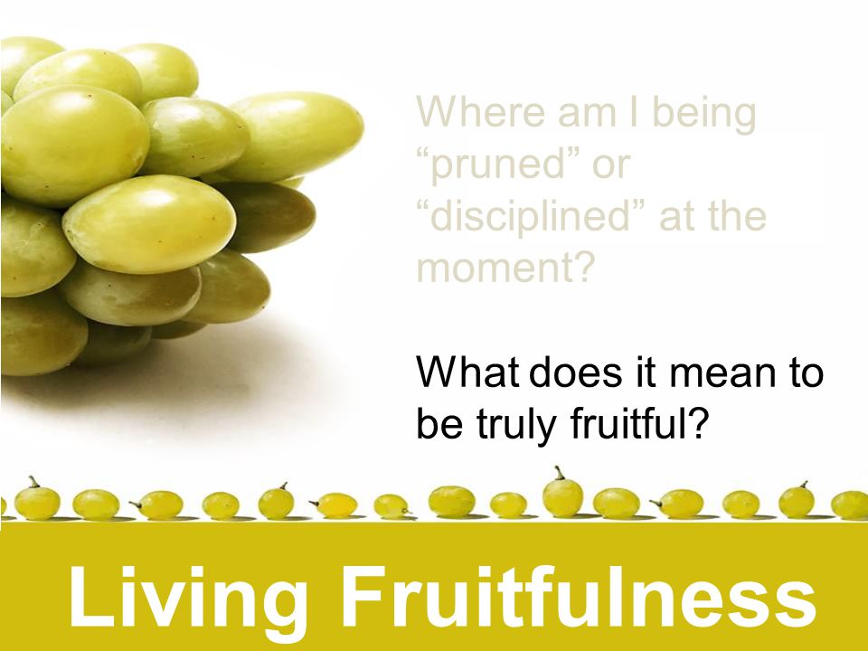 Living Fruitfulness Where am I being pruned or disciplined at the moment.