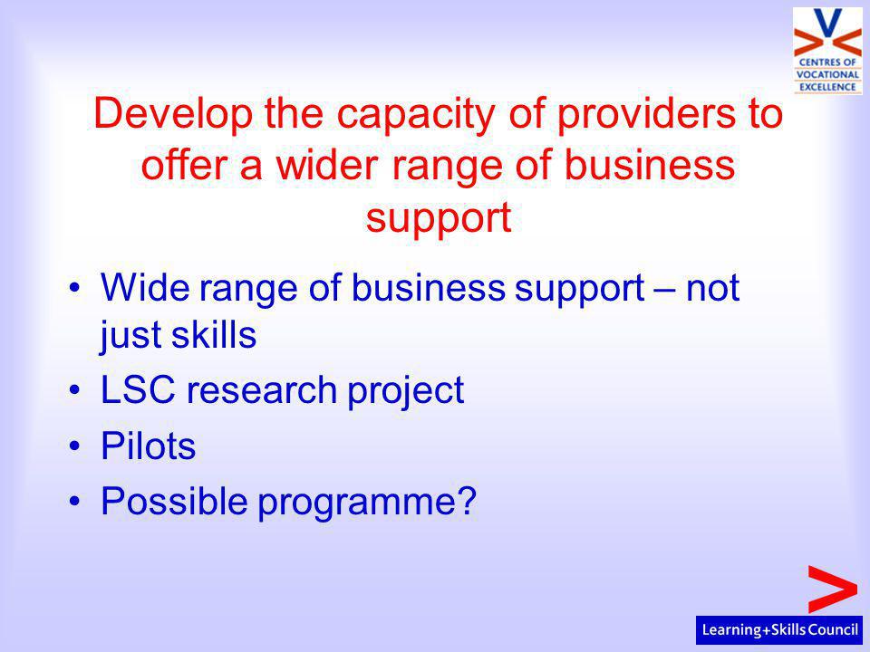 Develop the capacity of providers to offer a wider range of business support Wide range of business support – not just skills LSC research project Pilots Possible programme