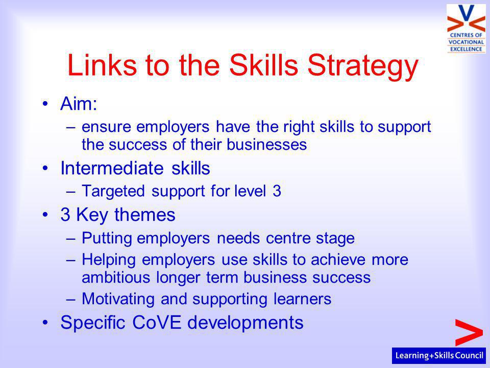 Links to the Skills Strategy Aim: –ensure employers have the right skills to support the success of their businesses Intermediate skills –Targeted support for level 3 3 Key themes –Putting employers needs centre stage –Helping employers use skills to achieve more ambitious longer term business success –Motivating and supporting learners Specific CoVE developments