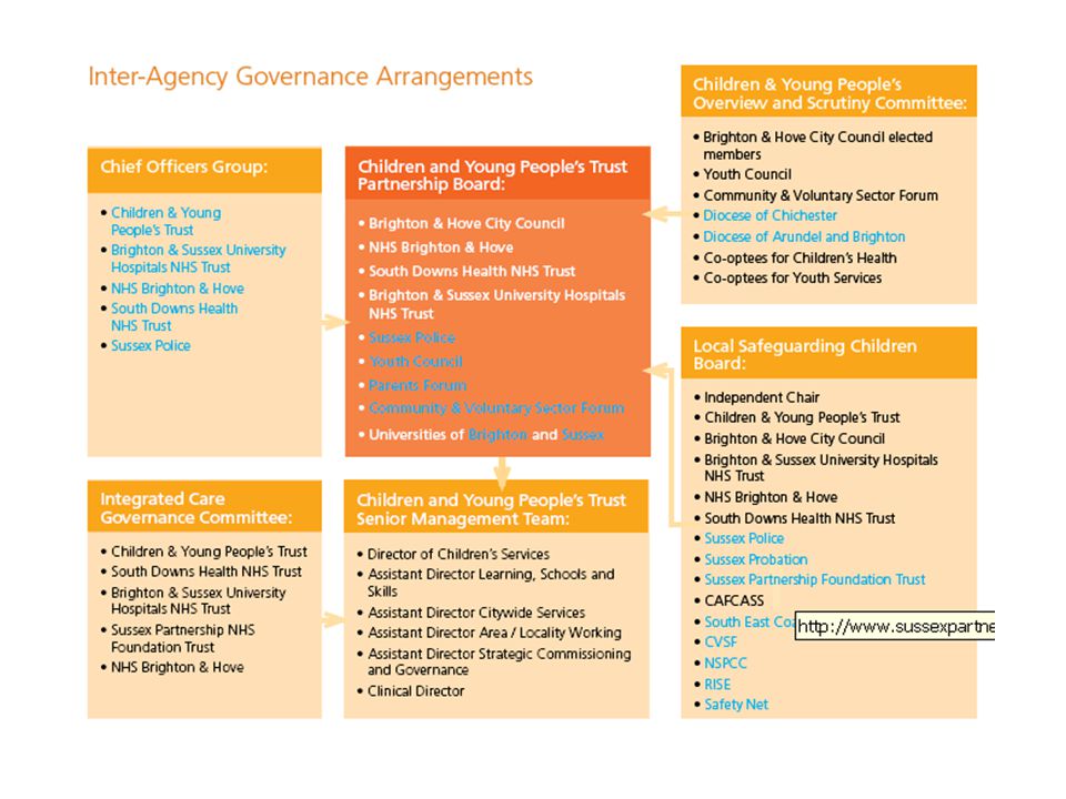 Interagency governance arrangements