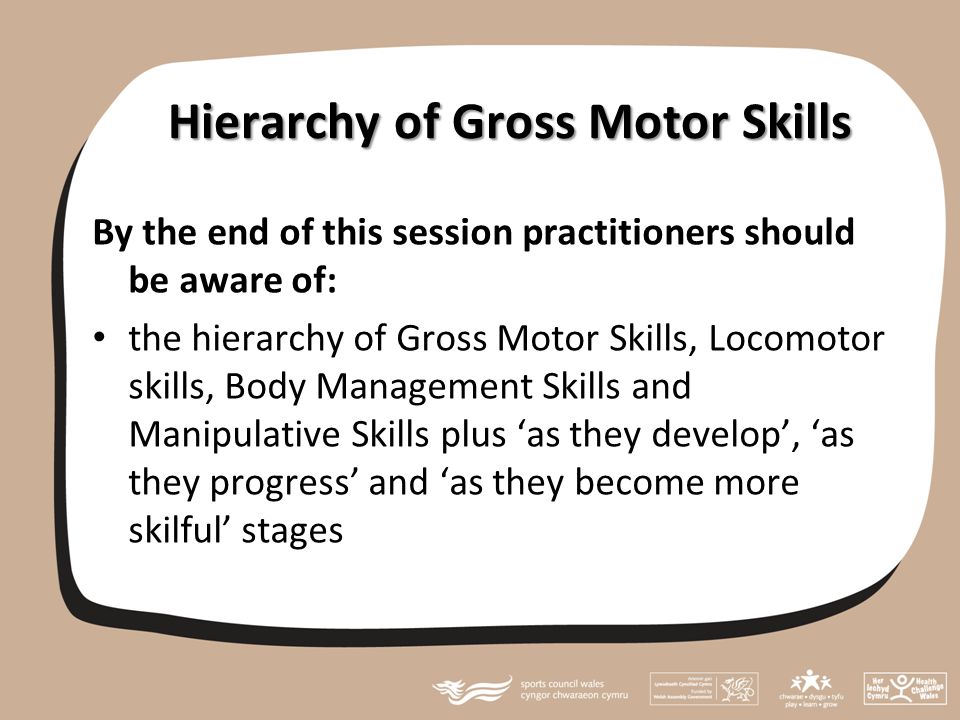 Hierarchy of Gross Motor Skills By the end of this session practitioners should be aware of: the hierarchy of Gross Motor Skills, Locomotor skills, Body Management Skills and Manipulative Skills plus ‘as they develop’, ‘as they progress’ and ‘as they become more skilful’ stages
