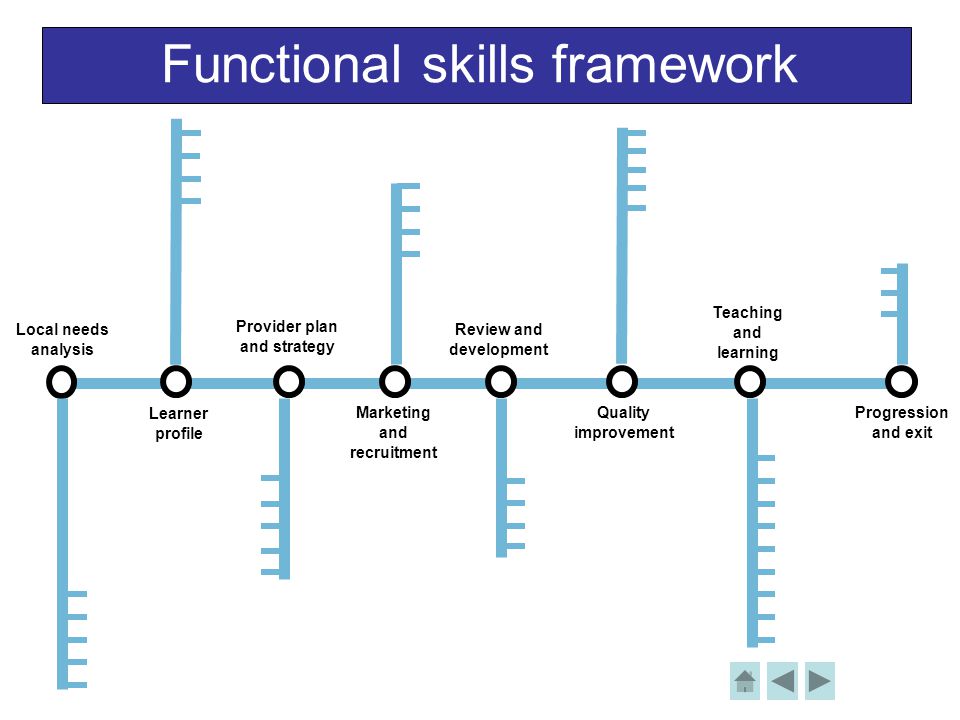 Functional skills framework Local needs analysis Learner profile Provider plan and strategy Review and development Teaching and learning Progression and exit Marketing and recruitment Quality improvement