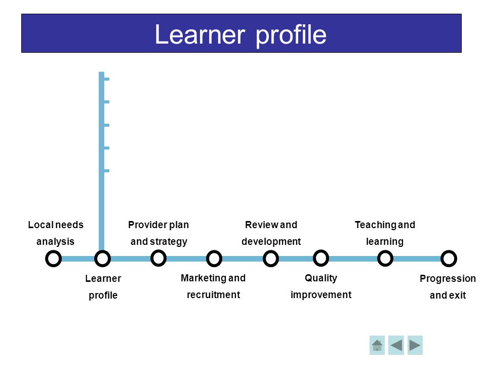 Learner profile Local needs analysis Learner profile Provider plan and strategy Review and development Teaching and learning Progression and exit Marketing and recruitment Quality improvement