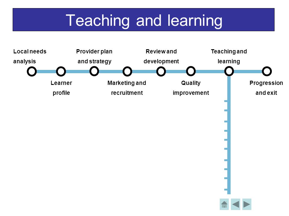 Teaching and learning Local needs analysis Learner profile Provider plan and strategy Review and development Teaching and learning Progression and exit Marketing and recruitment Quality improvement