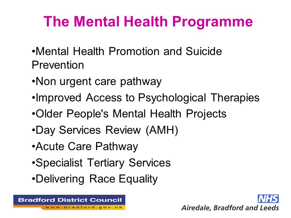 The Mental Health Programme Mental Health Promotion and Suicide Prevention Non urgent care pathway Improved Access to Psychological Therapies Older People s Mental Health Projects Day Services Review (AMH) Acute Care Pathway Specialist Tertiary Services Delivering Race Equality