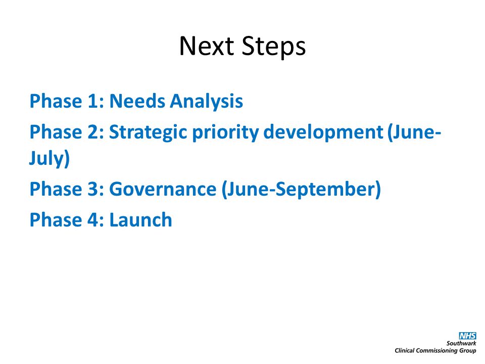 Next Steps Phase 1: Needs Analysis Phase 2: Strategic priority development (June- July) Phase 3: Governance (June-September) Phase 4: Launch
