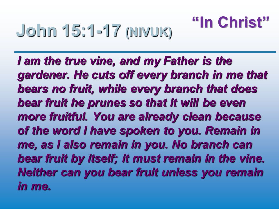 In Christ John 15:1-17 (NIVUK) I am the true vine, and my Father is the gardener.