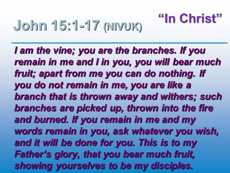 In Christ John 15:1-17 (NIVUK) I am the vine; you are the branches.